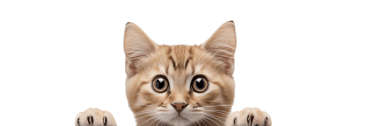 Gatitos ensamblado mueble para gato TOKIO