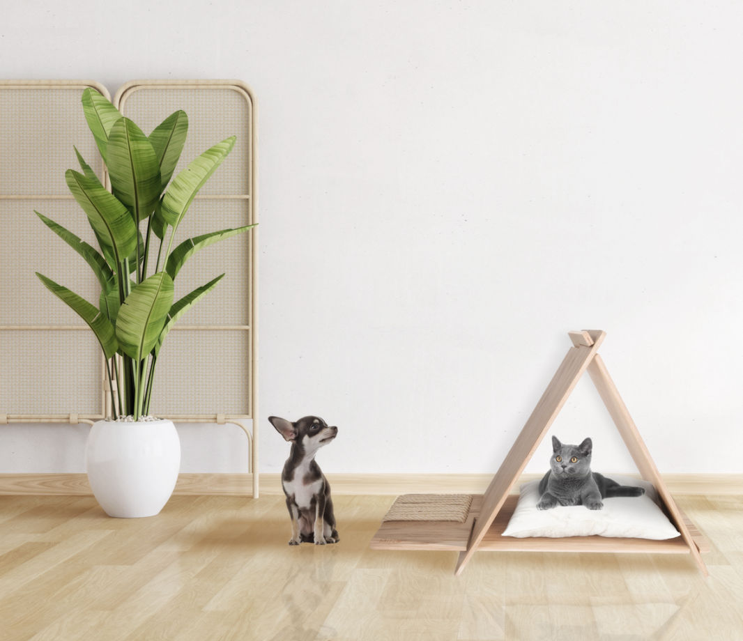Juguete para mascotas y cucha en madera